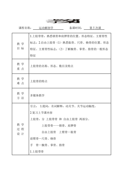 运动解剖学教案(第5次课)