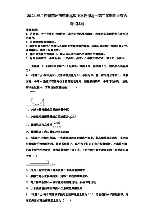 2024届广东省惠州市惠阳高级中学物理高一第二学期期末综合测试试题含解析