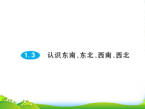 人教新课标三年级下册数学习题课件第一单元 1.3认识东南、东北、西南、西北