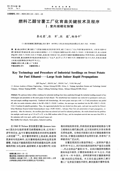 燃料乙醇甘薯工厂化育苗关键技术及程序 Ⅰ.室内规模化快繁
