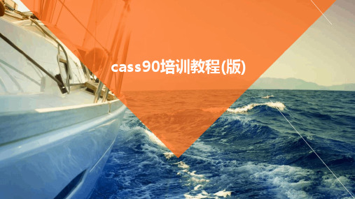 cass90培训教程(版)