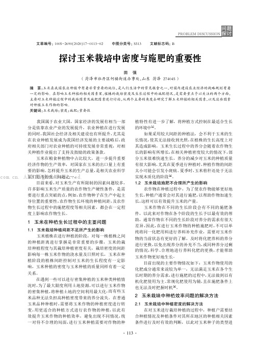 探讨玉米栽培中密度与施肥的重要性