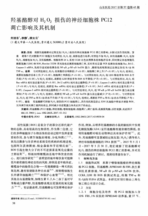 羟基酪醇对H2O2损伤的神经细胞株PC12凋亡影响及其机制