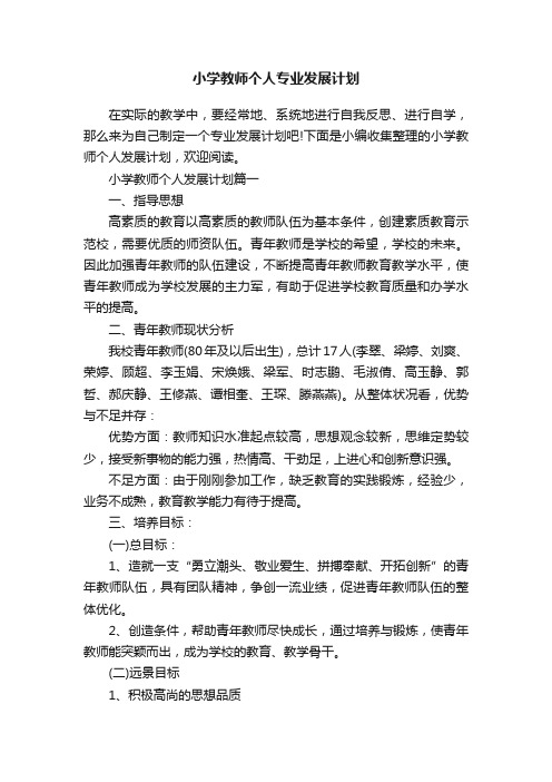 小学教师个人专业发展计划