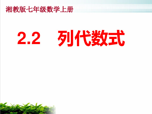 湘教版初中数学七年级上册列代数式PPT优秀课件2