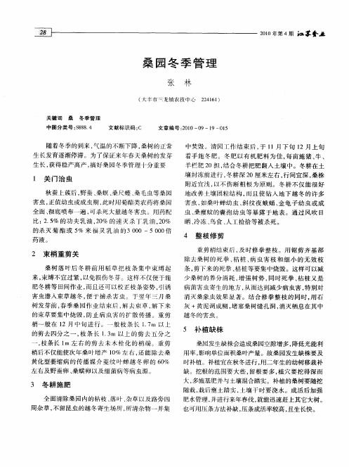 桑园冬季管理