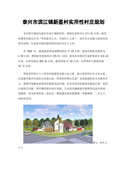 泰兴市滨江镇新星村实用性村庄规划