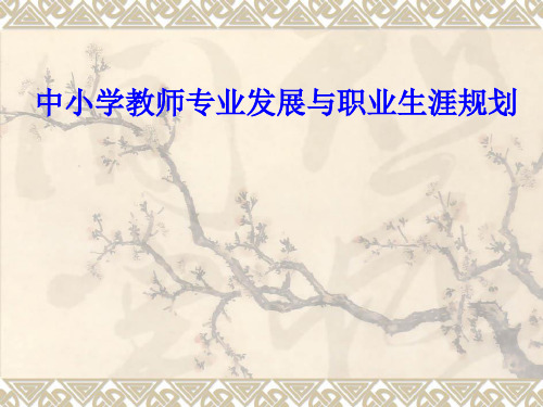 中小学教师专业发展训讲座ppt