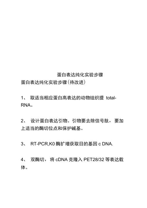 蛋白表达纯化实验步骤