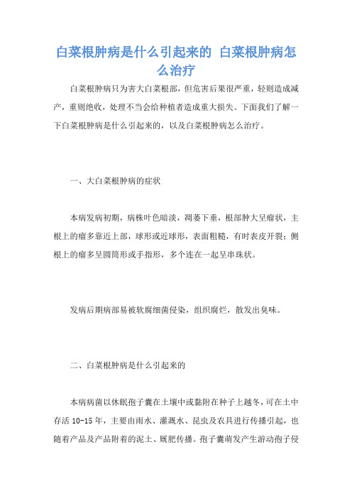 白菜根肿病是什么引起来的 白菜根肿病怎么治疗