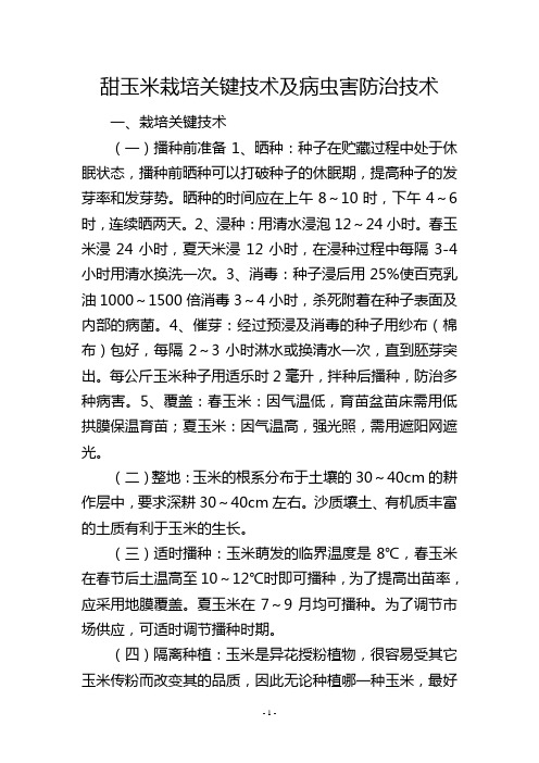 甜玉米栽培关键技术及病虫害防治技术