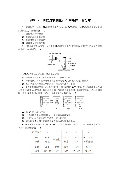 2023《微专题小练习》生物新教材XL-7专练17 比较过氧化氢在不同条件下的分解