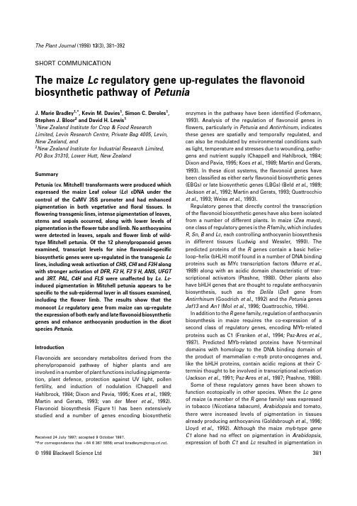 The maize Lc regulatory gene up-regulates the flavonoid