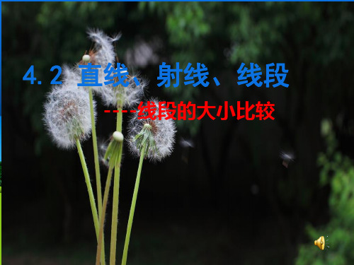 422直线射线线段大小比较PPT课件