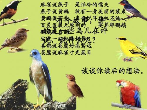 28.尺有所短-寸有所长(完美版)