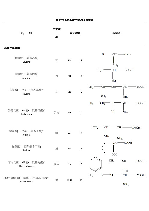 二十种氨基酸结构式