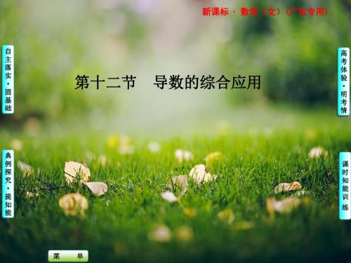 高考数学(文)一轮复习课件：2.12 导数的综合应用(广东专版)