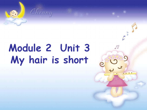 牛津上海版二上Unit My hair is short课件