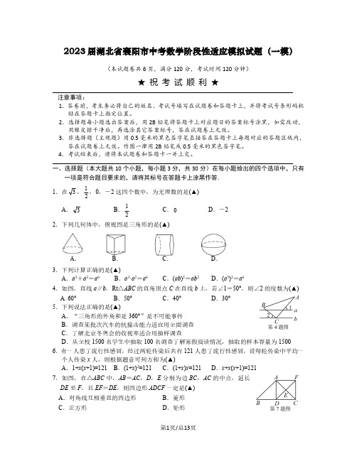 2023届湖北省襄阳市中考数学阶段性适应模拟试题(一模)含解析