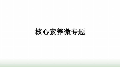 人教版高中思想政治必修2核心素养微专题课件