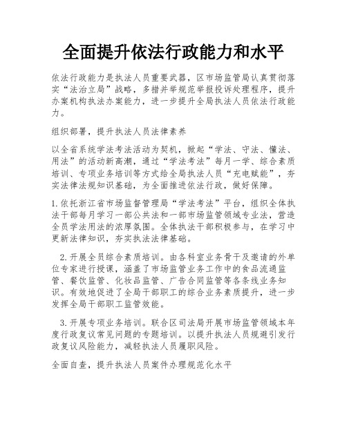 全面提升依法行政能力和水平