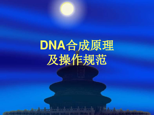 DNA合成原理及操作