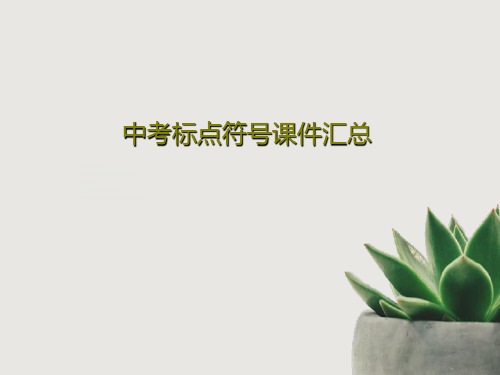 中考标点符号课件汇总42页PPT