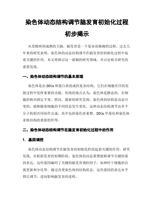 染色体动态结构调节脑发育初始化过程初步揭示