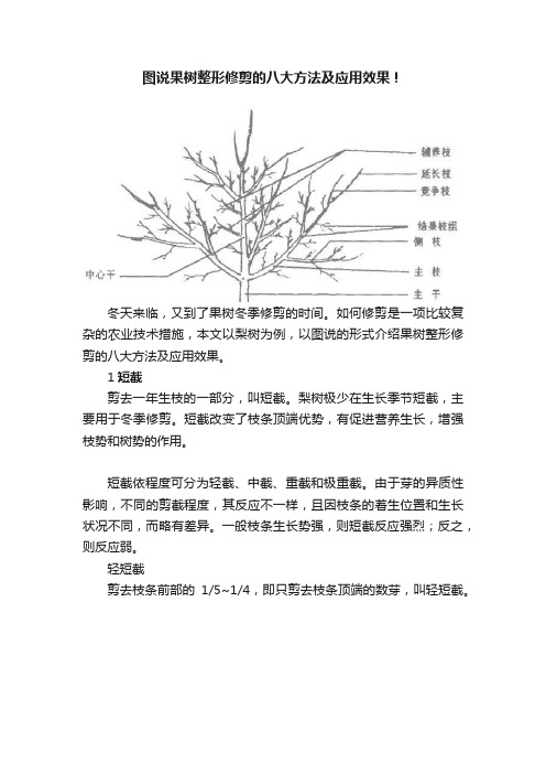 图说果树整形修剪的八大方法及应用效果！