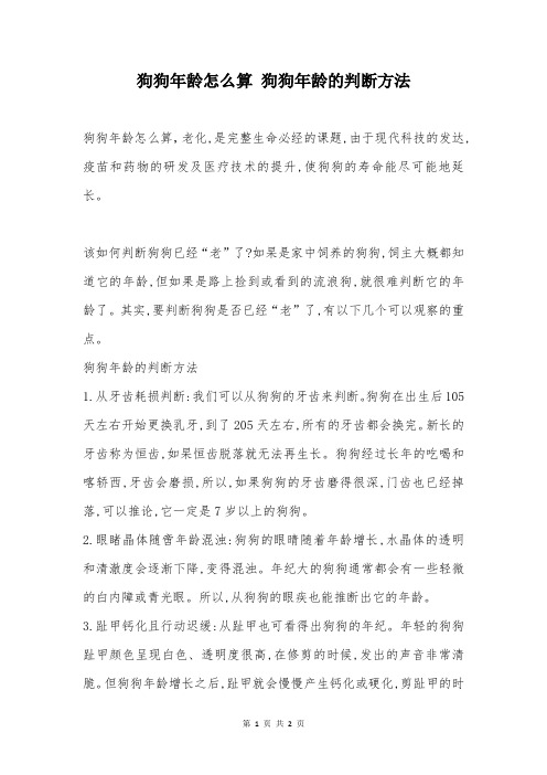 狗狗年龄怎么算 狗狗年龄的判断方法