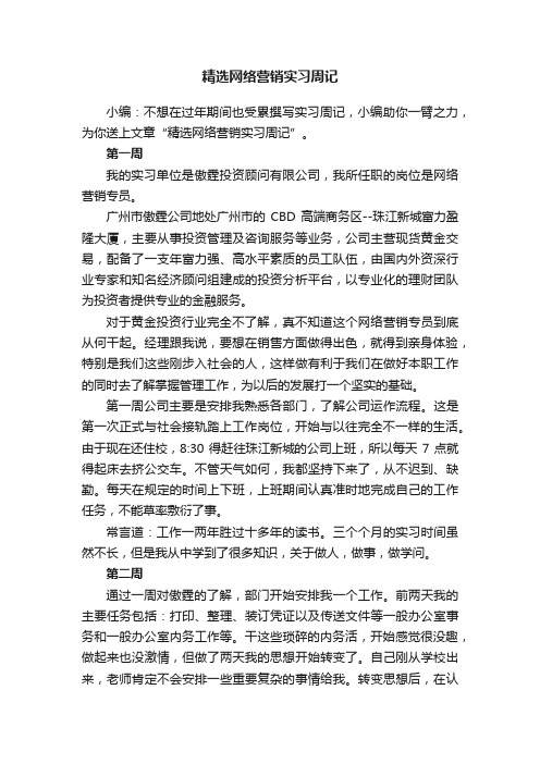 精选网络营销实习周记