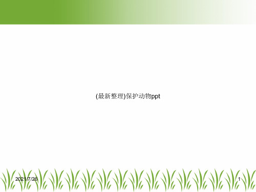 (最新整理)保护动物ppt