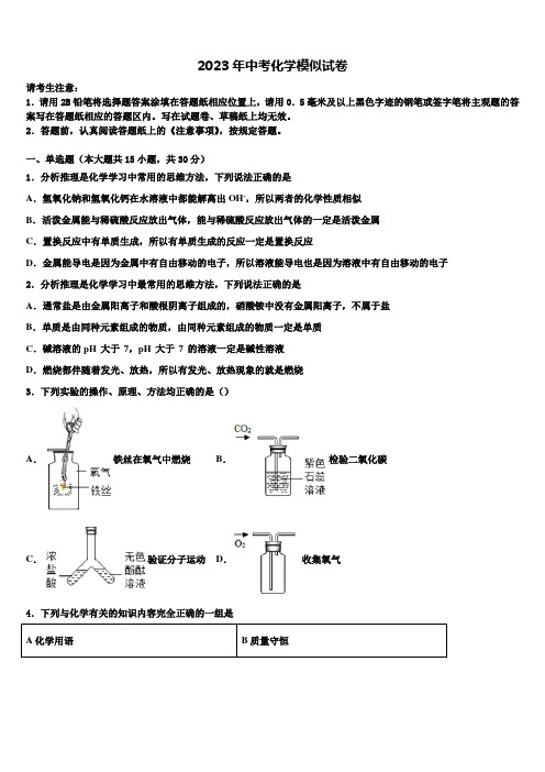 江苏省泰州中学附属初级中学2023年中考化学押题卷含解析