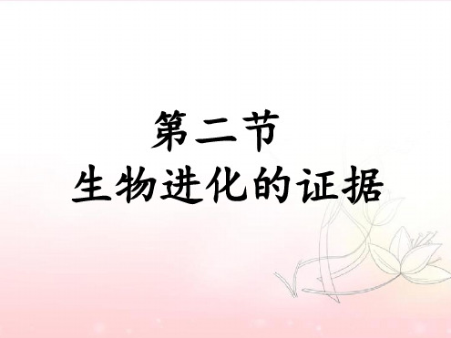 八年级下册生物课件 512生物进化的证据课件济南版