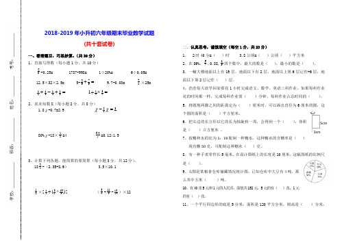 【最新精编】2018-2019年小升初数学毕业升学考试试卷(共10套试卷)