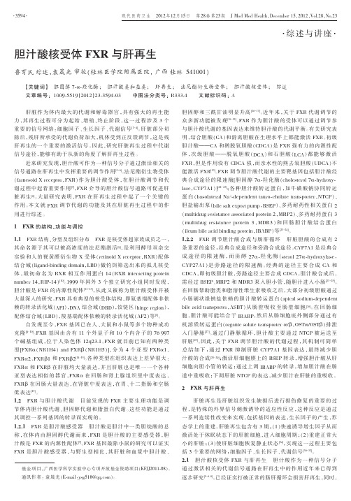 胆汁酸核受体与肝再生