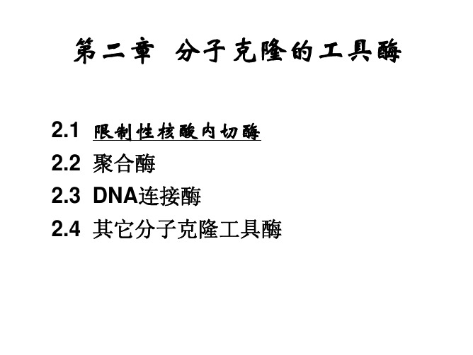 基因工程学习资料