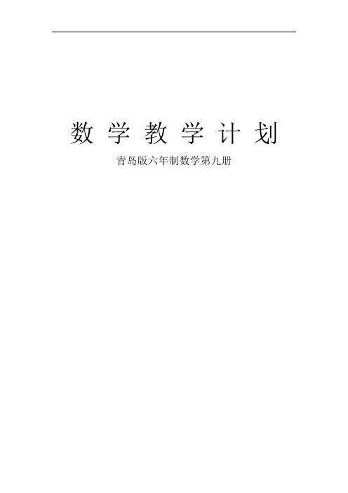 第九册教学计划