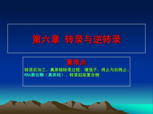 分子生物学课件 第六章 转录与逆转录