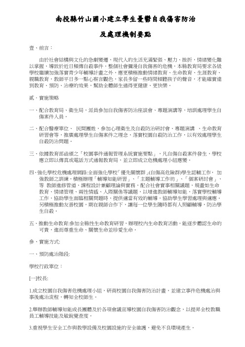 南投县竹山国小建立学生忧郁自我伤害防治.