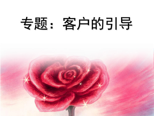 怎么引导客户.ppt