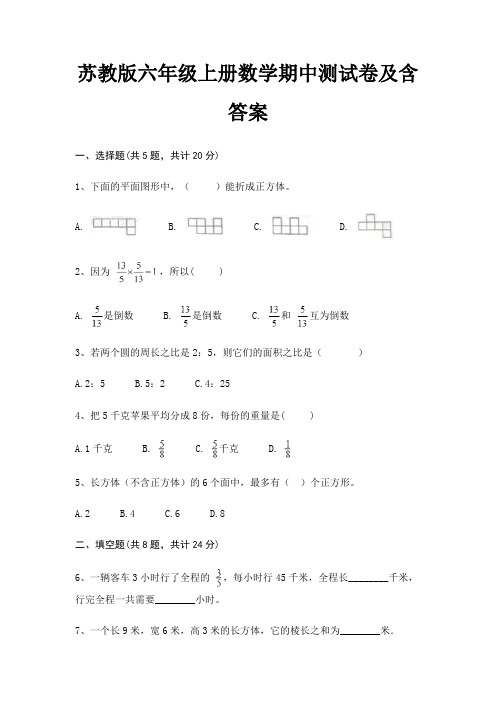 苏教版六年级上册数学期中测试卷及含答案