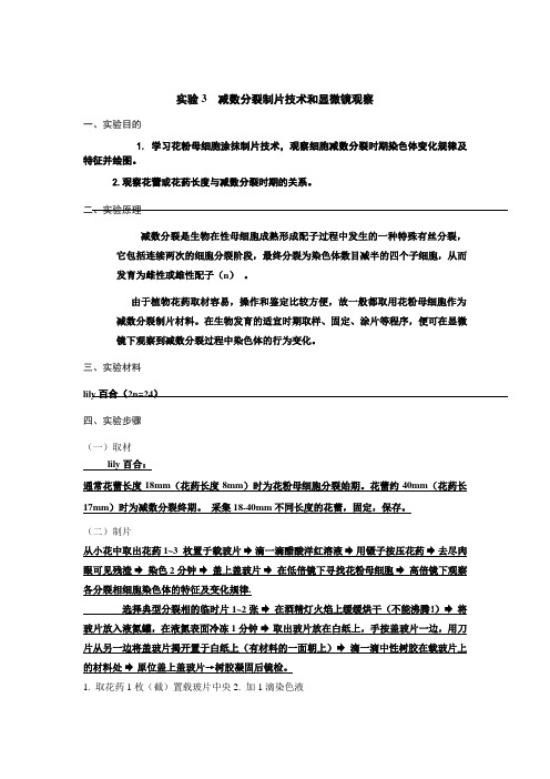 实验3  减数分裂制片技术和显微镜观察