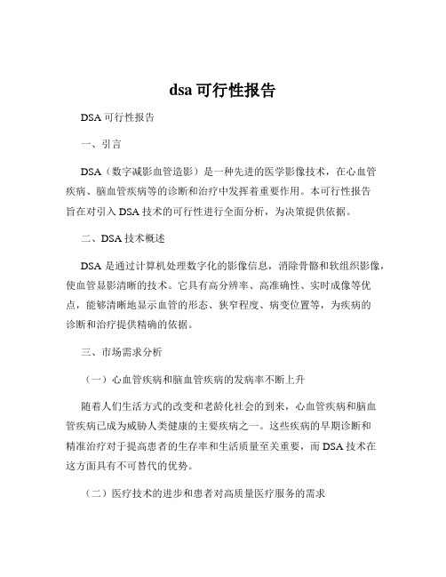 dsa可行性报告