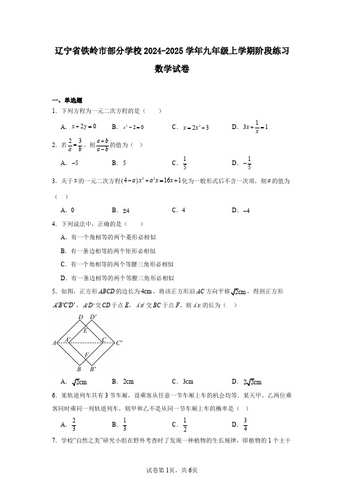 辽宁省铁岭市部分学校2024-2025学年九年级上学期阶段练习数学试卷