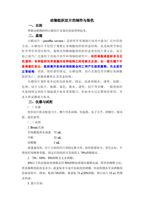 动物组织切片的制作与染色