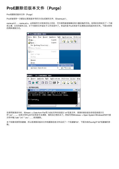 ProE删除旧版本文件（Purge）