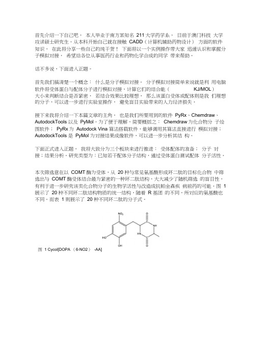 10分钟教你掌握分子对接模拟软件(医药向)