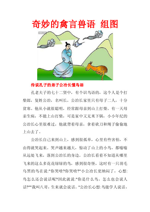 奇妙的禽言兽语组图