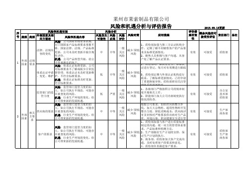 风险和机遇分析与评估报告(质量)